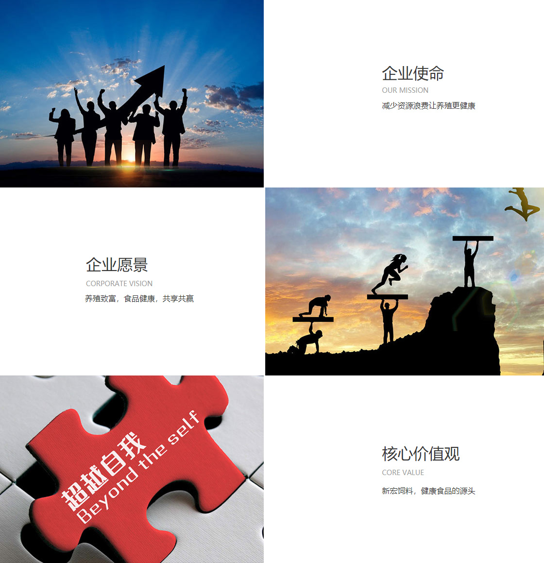 研发团队(图1)